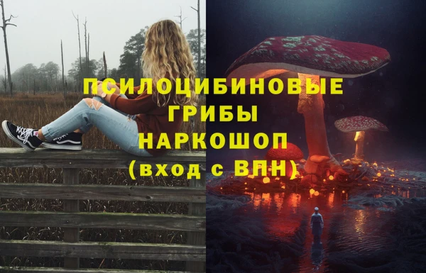 мяу мяу мука Армянск