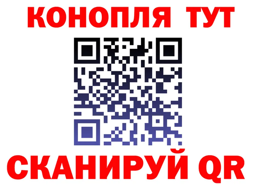 МЯУ-МЯУ 4 MMC ТОР площадка мега Сортавала
